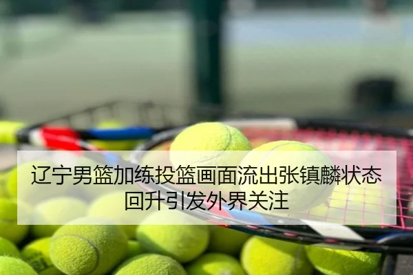 辽宁男篮加练投篮画面流出张镇麟状态回升引发外界关注